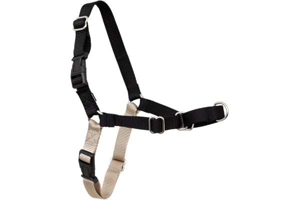 PetSafe Easy Walk Harness, No Pull Harness for Dogs, Adjustable Harness with Included Matching Lead, Black Medium Large