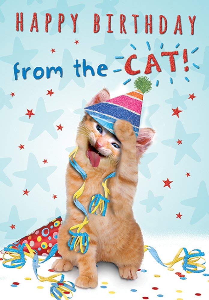 FANTASTIC GLITTER COATED COLOURFUL FROM THE CAT BIRTHDAY GREETING CARD