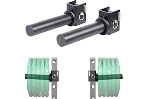 SYL Fitness Olympic Weight Plates Holder Power Rack Attachment Weights Storage Rack, Fit 2x2 & 3x3 inch Square Tube