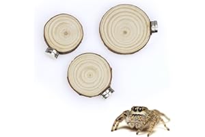 tinkare 3 Pack Jumping Spider Enclosure Ledges with Magnets for Spoods Jumping Spiders Magnetic Ledge Ladder Pet Spider Accessories