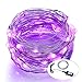 ITART Purple Fairy Lights Plug in Outdoor LED String Lights with Power Adapter UL Certified for Garden Patio Wedding Party Bedroom DIY Decoration