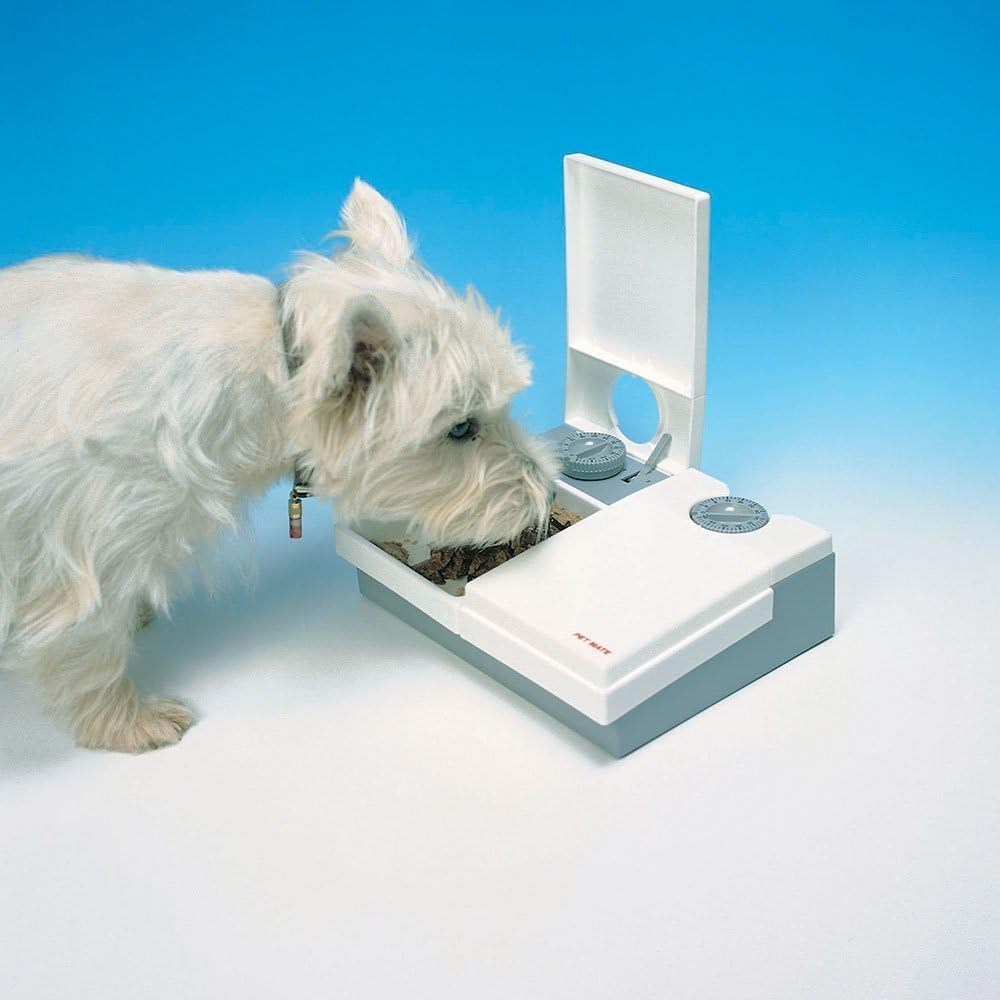 Cat Mate C20 2 Bowl Pet Feeder With Ice Pack : Pet Self Feeders : Pet Supplies