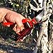Professional Pruning Shears - Best Heavy Duty Hand Pruners for Serious Gardening - Versatile, Ergonomic, Razor Sharp Steel Garden Clippers, Tree Trimmers + Holster!
