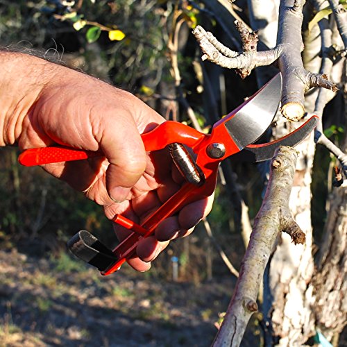 Professional Pruning Shears - Best Heavy Duty Hand Pruners for Serious Gardening - Versatile, Ergonomic, Razor Sharp Steel Garden Clippers, Tree Trimmers + Holster! - Image 4