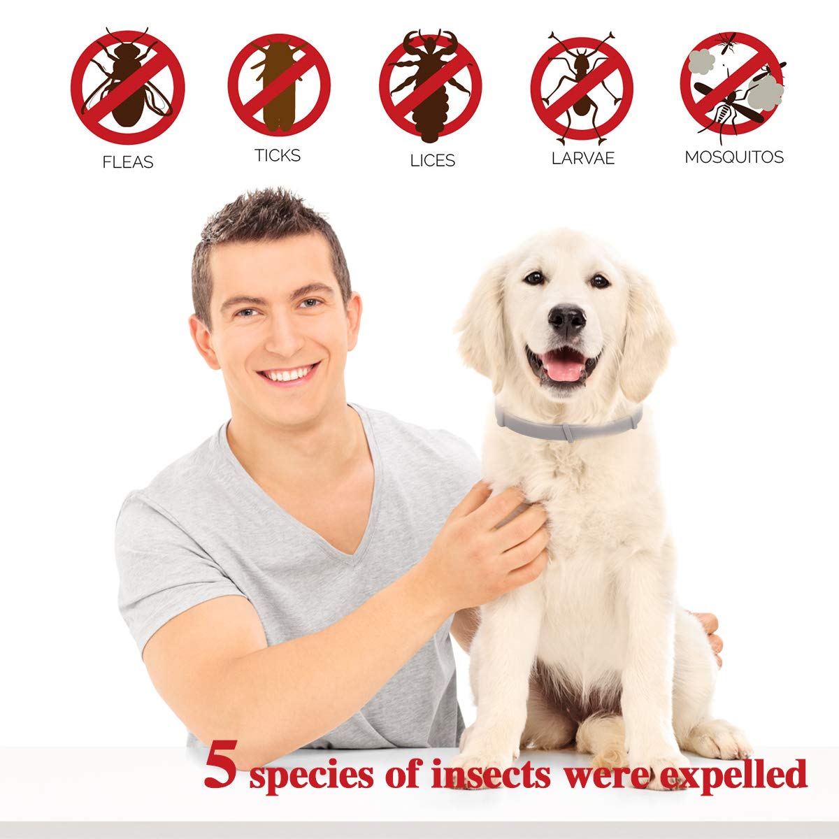 Reviews OSKIDE Pet Collar for Cats, Dog Collar Adjustable Waterproof