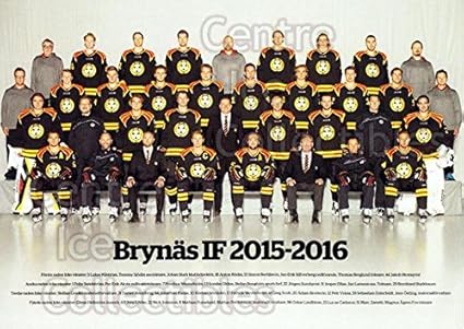 Amazon Com Ci Team Photo Brynas If Tigers Hockey Card 2015 16 Swedish Brynas If Tigers Postcards 29 Team Photo Brynas If Tigers Collectibles Fine Art