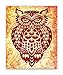 8x10 OWLS theme wall decor posters for room wall decoration. Set of 4 UNFRAMED owl poster prints. Made in USA.