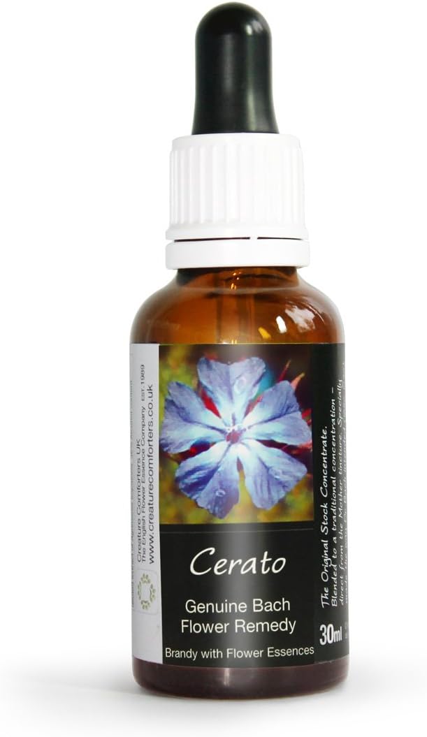 Cerato Bach Flower Remedy Large 30ml. Genuine Traditionally Made Essence