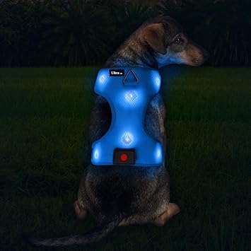 light up dog vest