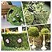 Byher Dried Moss Mat for Wedding Birthday Party Fairy Garden Decorations, Dark Green (14