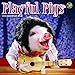 2016 Playful Pigs Mini Calendar