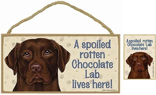 chocolate lab items