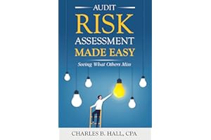 Audit Risk Assessment Made Easy: Seeing What Others Miss