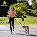 Active Prods PREMIUM Bungee Dog Leash for Walking & Running with Small, Medium or Large Dogs | To be used for a 2nd Dog with a Hands Free Dog Leash