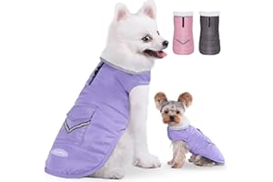 iBuddy Dog Winter Coats with Fleece Vest,Waterproof Warm Dog Snow Jacket Windproof, Reflective Adjustable Pet Dogs Cold Winter Coat for Small Dogs Girl Boy