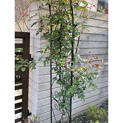 LBSY Rosenbogen aus Metall, Bogenweg für Hochzeitsfeier, Eisengartengitter zum Pflanzenklettern, Pergola für Garten… – Bild 4
