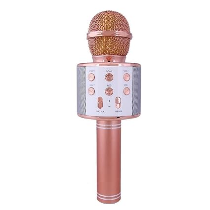 wireless microphone hifi speaker