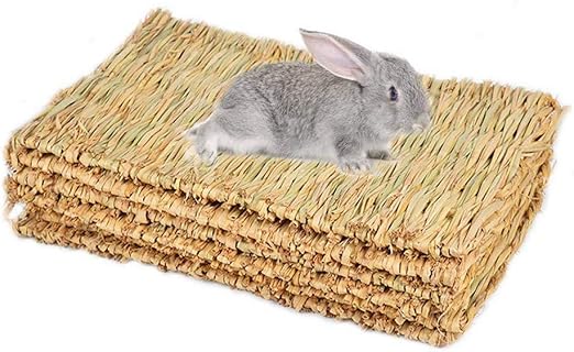 juguetes para conejos amazon