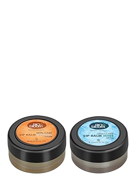 Biobloom Lip Balm Combo - Mint & Orange - LLP & Paraben Free, 8 g each