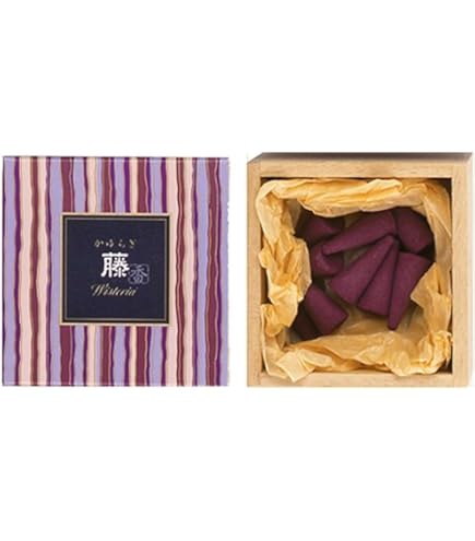 Amazon.com: nippon kodo Kayuragi - Sandalwood 12 Cones, Japanese