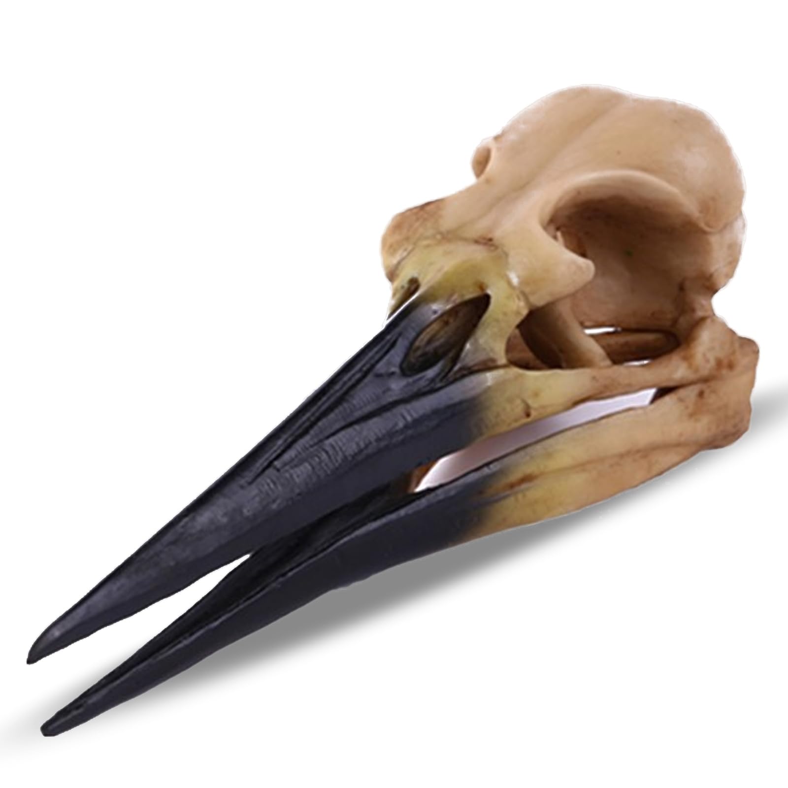 Kocris Casa Fish Cave Hideout Vivarium Ornament Décor for Terrarium Dinosaur Animal Skull Aquarium Large Decorations Betta Tarantula Reptile Snake Decor Bones Halloween