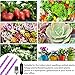 LED Grow Light Strips for Plants,Cholas 36W 132 Leds Auto ON Off Function,3/9/12H Timer 5 Dimmable Levels and 3 Switch Modes for Indoor Plants Gardening Hydroponics Greenhouse 3 Pack