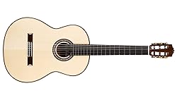Cordoba F10 Acoustic Nylon String Flamenco Guitar