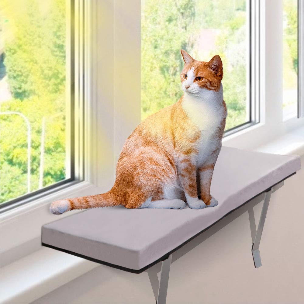 window sill cat bed
