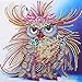 Bestlus Premium 5D Owl Diamond Painting Kits for Adults DIY Painting Art Kits by Numbers Special Shaped Rhinestones Partial Drill (10x10 inch)