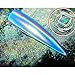 Holographic Nail Powder, Nail Laser Chrome Powder with Smooth Shimmer Unicorn Effect Pigment for Nail Art & Decoration (0.5g/Jar)