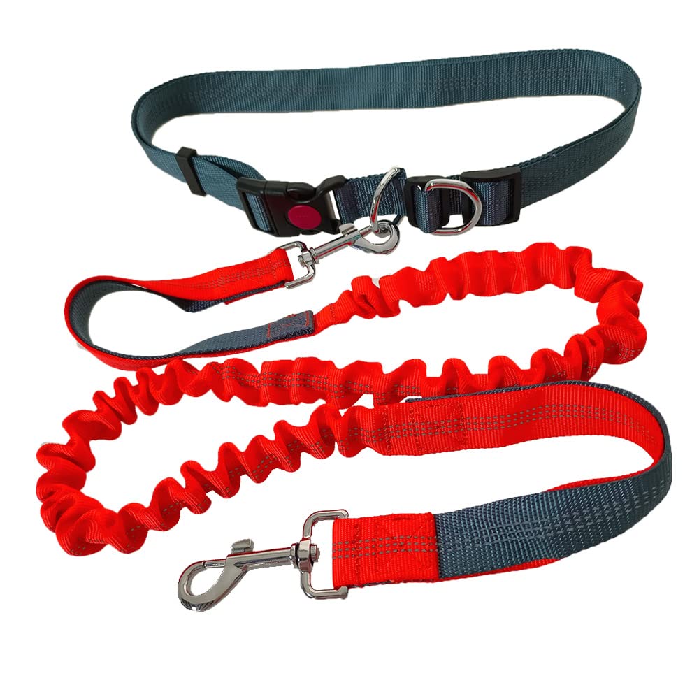 QitinDasen Hands-Free Dog Leash, Grey Adjustable Waist Belt and Orange Dual-Handle Retractable Bungee, Jogging with Reflective Stitching