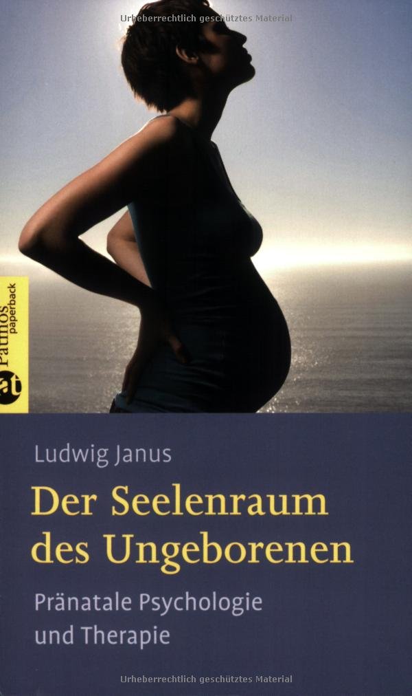 Seelenraum Des Ungeborenen Pranatale Psychologie Und Therapie Amazon De Janus Ludwig Bucher