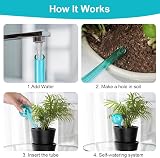 AMFUN 6 Pcs Glass Plant Watering Globes Self Watering System Colorful Hand-Blown view 2