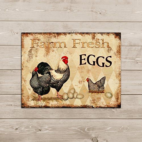 Rustic tin sign with "Barnyard Designs" house design, recommended for home use, priced at $12.95.