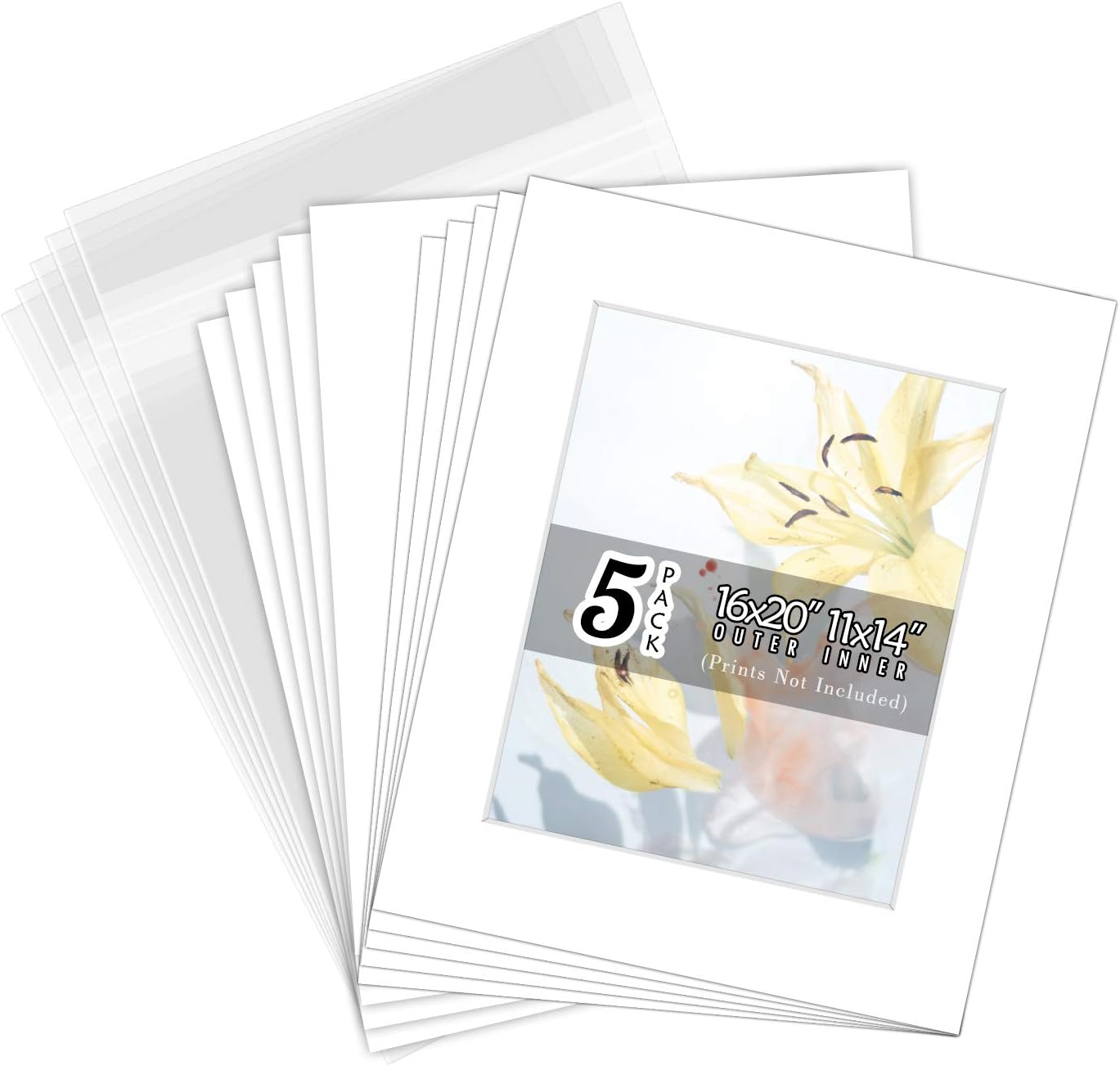 Matting & Mounting Materials Home Golden State Art Includes 25 High