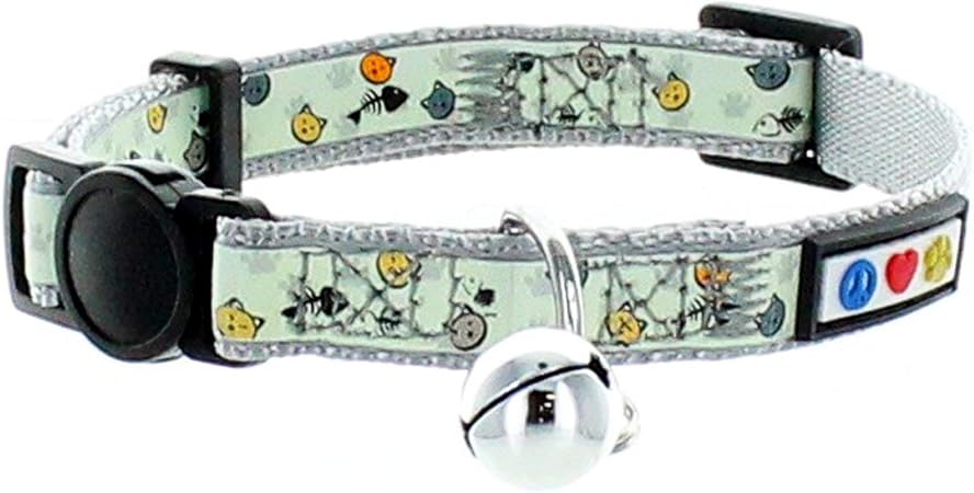 glow in the dark kitten collar