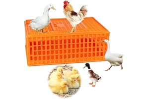 INTBUYING Poultry Carrier Crate Plastic Chicken Transport Cage Transport Bird Cages Poultry Chicken/Duck/Goose Carrier Basket