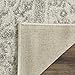 SAFAVIEH Adirondack Collection Accent Rug - 3' x 5', Ivory & Silver, Oriental Distressed Design, Non-Shedding & Easy Care, Ideal for High Traffic Areas in Entryway, Living Room, Bedroom (ADR109C)