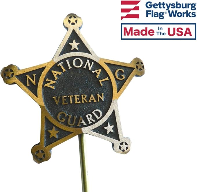 National Guard Veteran Bronze Grave Marker Cemetery