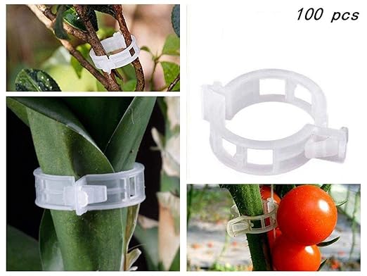 Acogedor Clips de Plantas, Clips de Soporte de Flores para Plantas ...