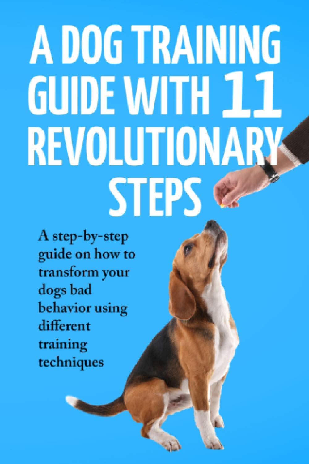 dog training steps