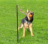 Highland Farms Select Dog Retractable Interactive Training Tug Toy - Pet Obedience Training Tug - Stable Exercise Metal Pole & Spring Rod with Replaceable Chew Rope for Small/Medium/Large Dogs