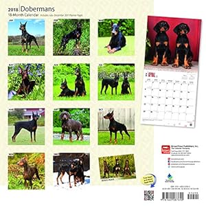 Dobermans 2018 12 x 12 Inch Monthly Square Wall Calendar, Animals Dog Breeds (Multilingual Edition)