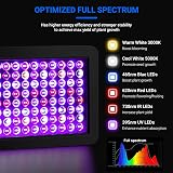 DragonLight BW1000 LED Grow Light 3m Cable Full Spectrum Veg Bloom Switch view 2