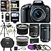 Canon EOS Rebel T7i EF-S 18-55 is STM Kit, EF 55-250mm II, 64GB Memory Card, Wide Angle, Telephoto Lens, 48