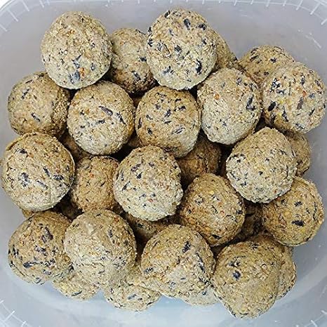 200 Stück ohne Netz Meisenknödel Marke Birds Garden Vogelfutter Wildvogelfutter Ganzjahresfutter Fettfutter Versand mit DHL