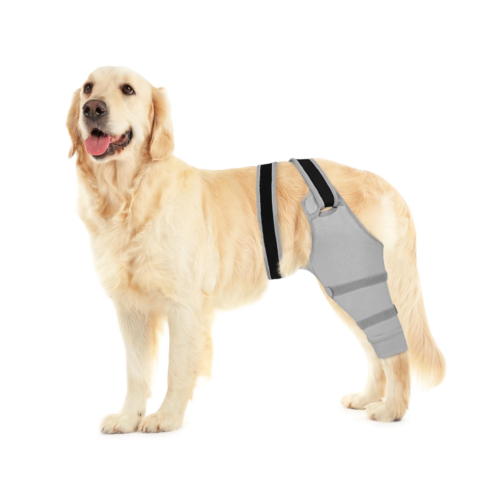 Photo 1 of Joypig Dog Rear Leg Sleeve to Prevent Licking - Breathable Adjustable Durable Material - Single Sleeve for Back Hind Leg Wound Recovery ACL TPLO Surgery(Left-L)