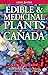 Edible and Medicinal Plants of Canada by