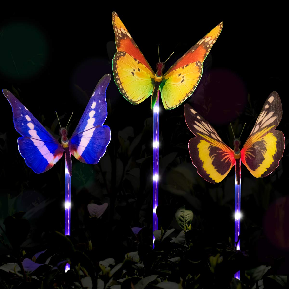 Best Butterfly Garden Mix