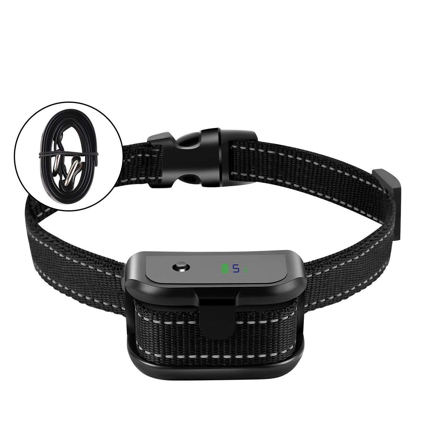 yorkshire terrier collars